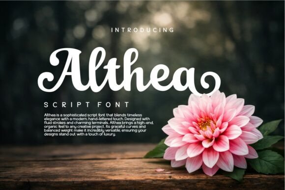 Althea: The Font That Transformed My Bakery’s Brand